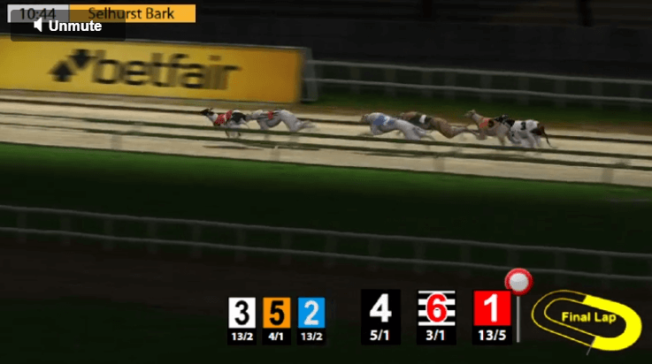 virtual greyhound race underway with statistics and odds at bottom of the screen