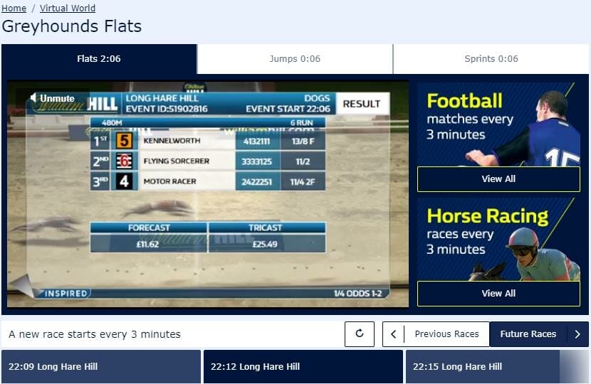 Virtual Greyhounds Flats race at William Hill with names and odds displayed