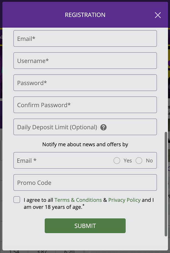 HollywoodBets Registration Step 2