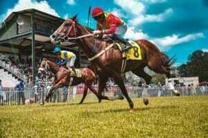 Horse Racing Featured Image