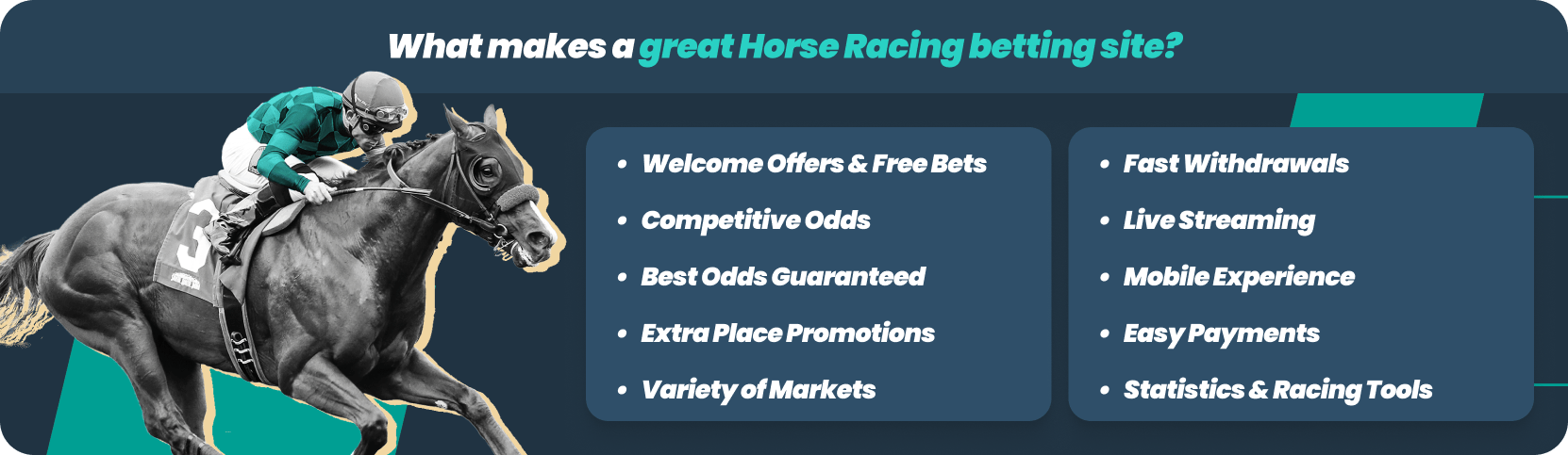 horse racing infographic