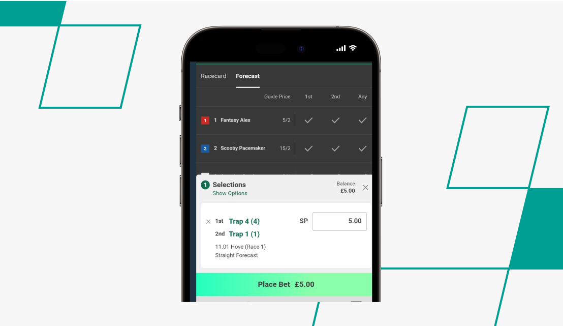 Betslip for greyhounds market on bet365