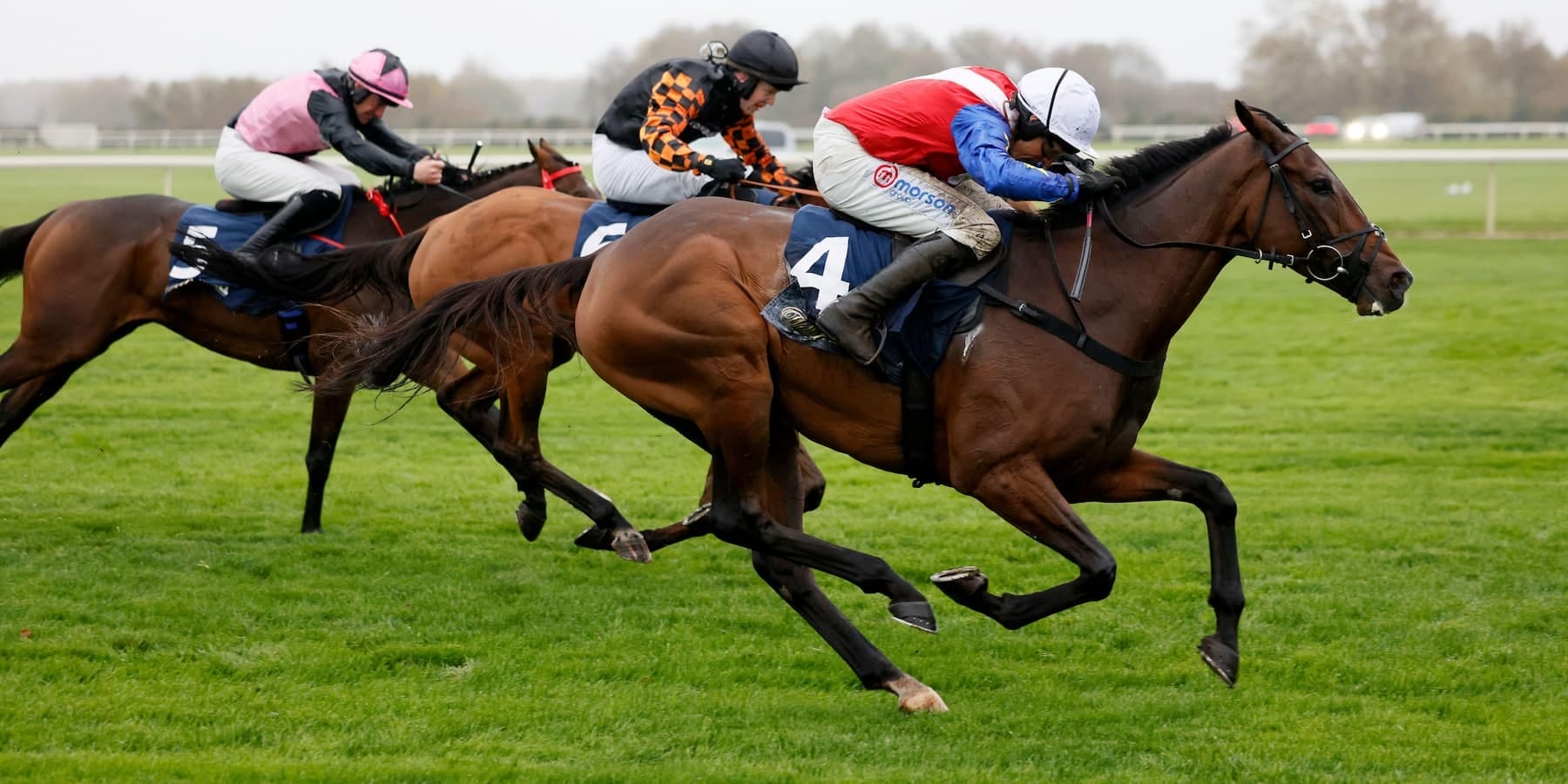 New Year's Day Horse Racing Tips - Ace of Spades
