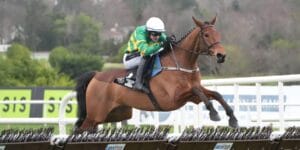 JP McManus Horse Hurdling