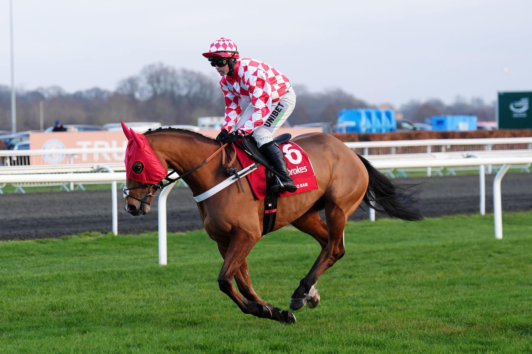 Jango Baie at Kempton in the King George