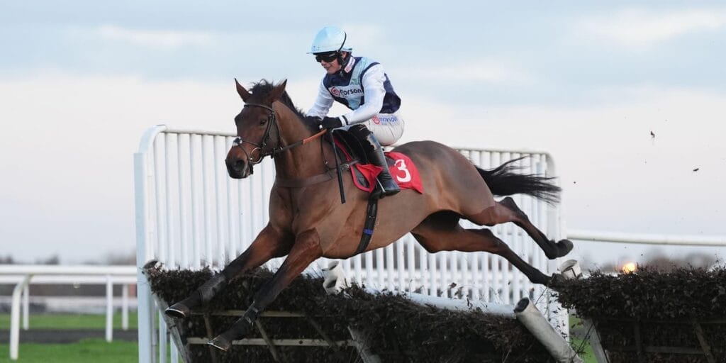 Kabral Du Mathan at Cheltenham