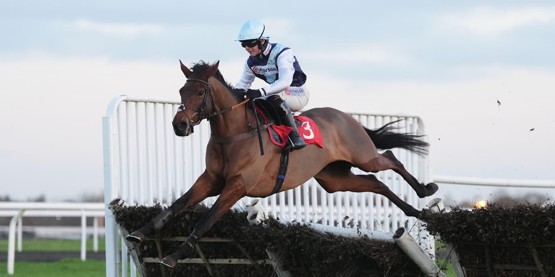 Kabral Du Mathan at Cheltenham
