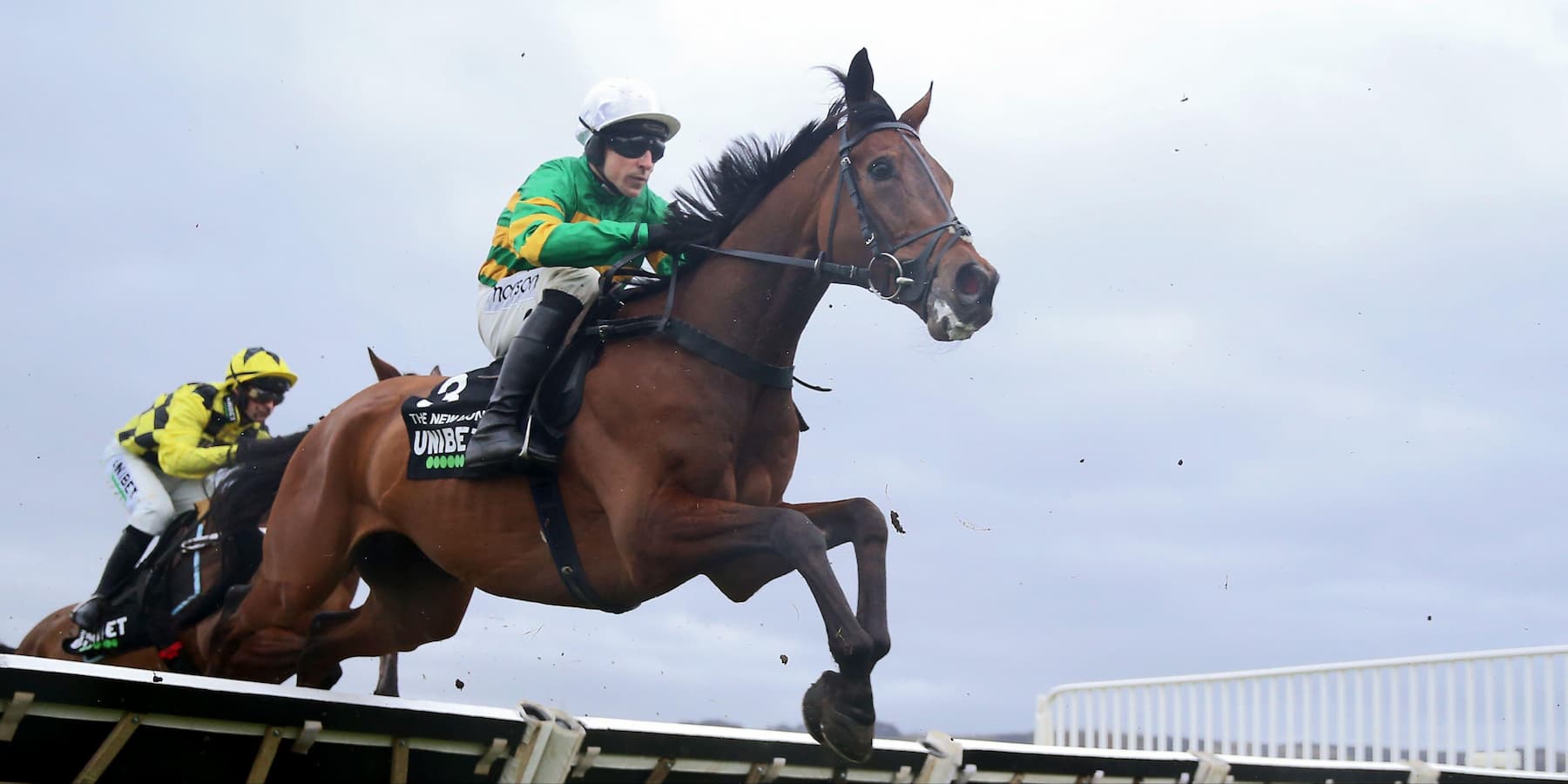 The New Lion Winning at Cheltenham