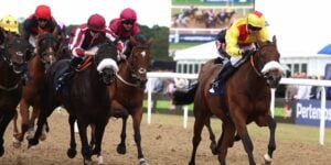 Horses at Newcastle Racecourse