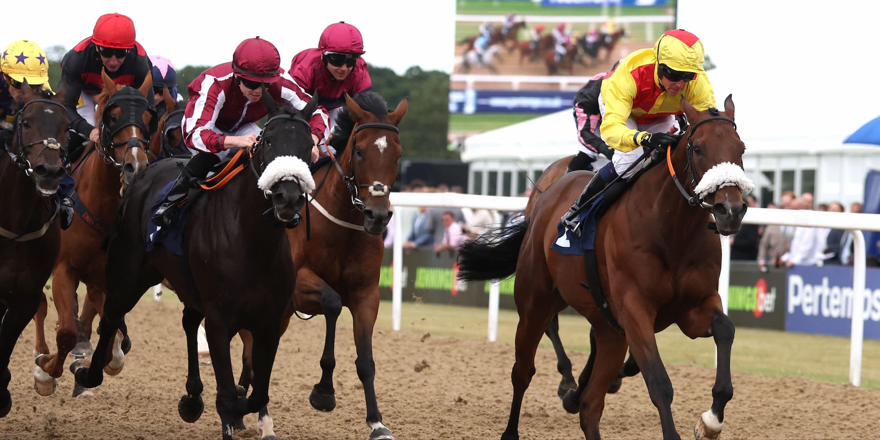 Horses at Newcastle Racecourse