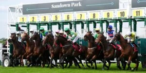 Sandown horse racing tips Friday meeting