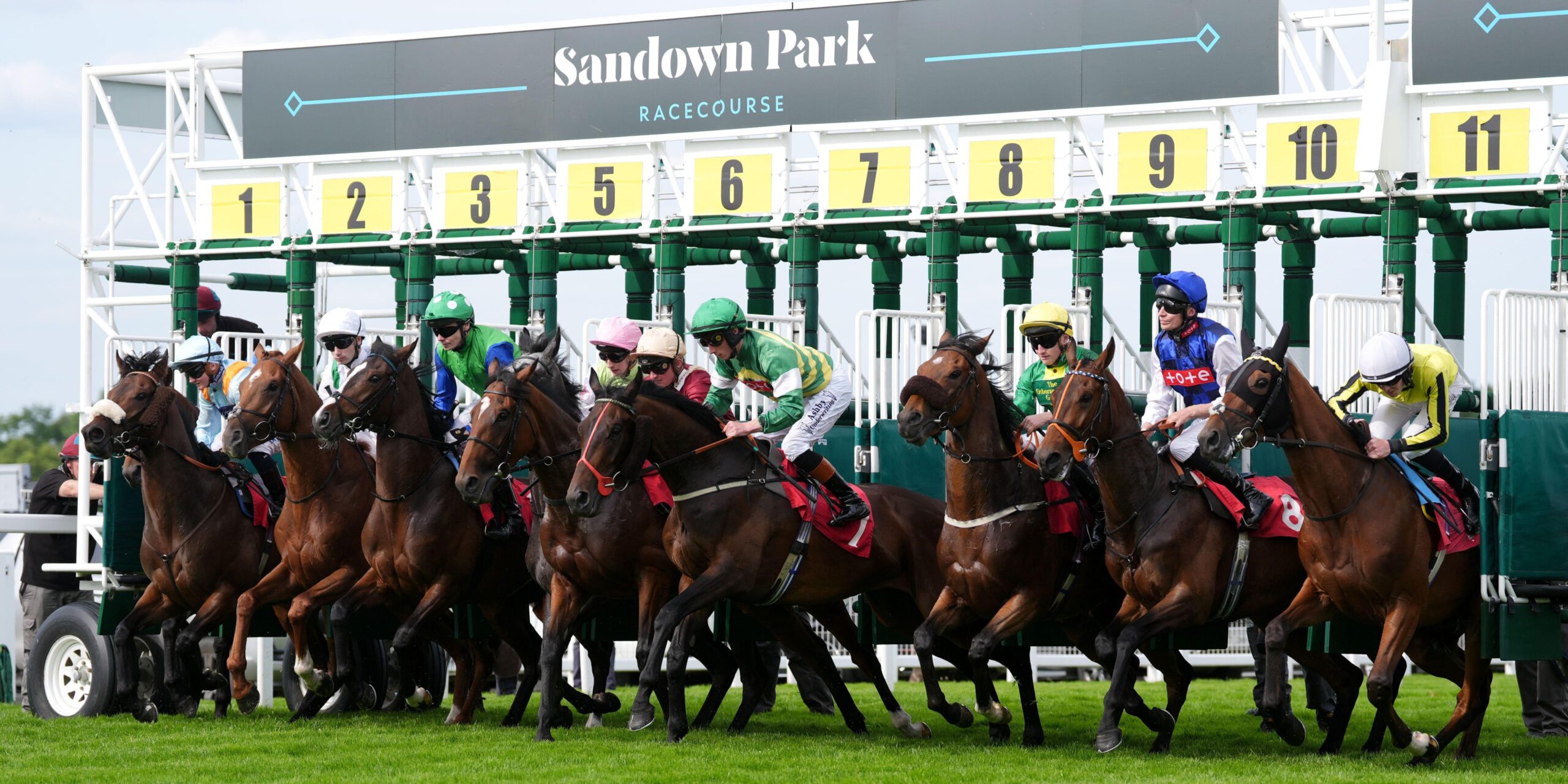 Sandown horse racing tips Friday meeting