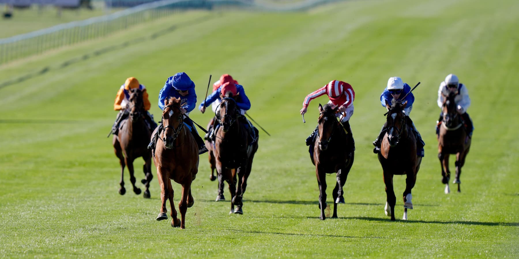Distant Storm winning at Newmarket ahead of his run in the 2000 Guineas