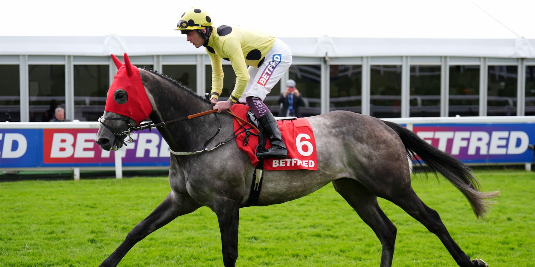 Ice Max heading to post at Chester Racecourse
