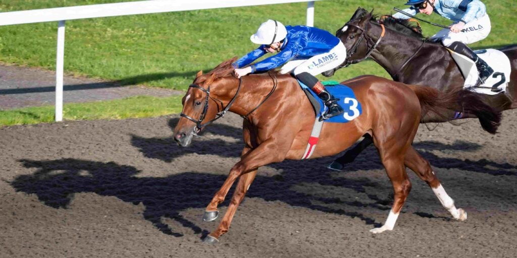 King's Trail winning a horse race at Kempton