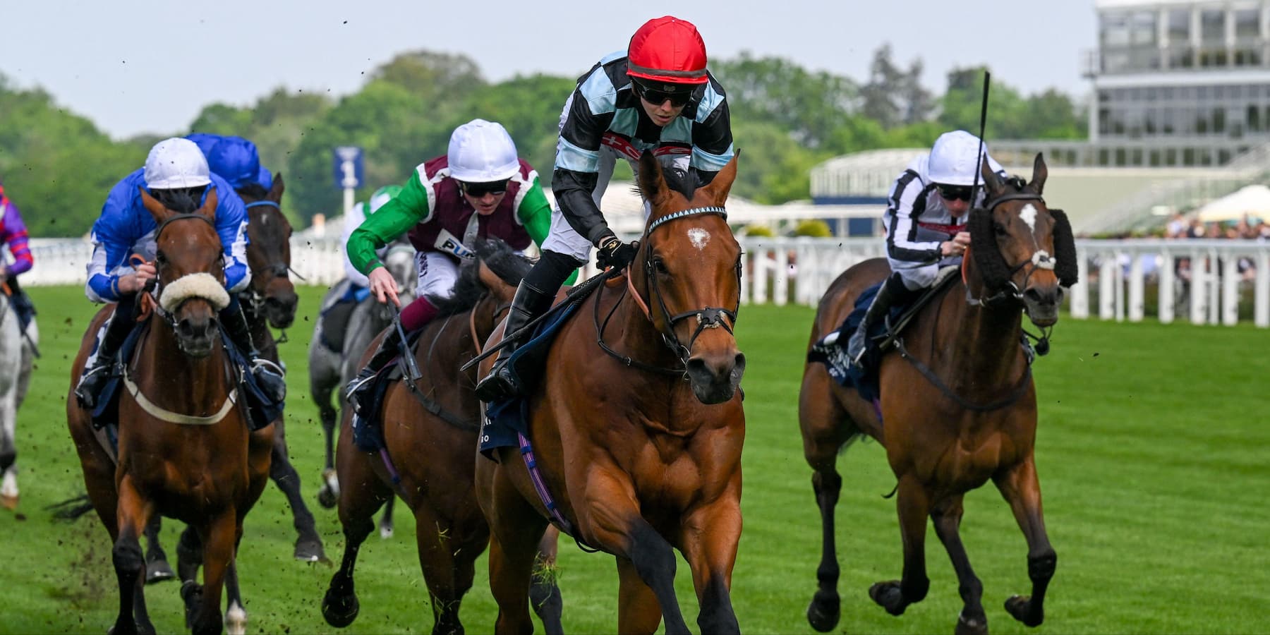 Wine Dark Sea winning a horse race at Ascot