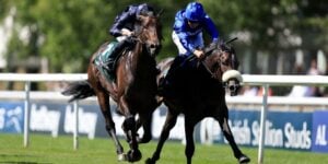 TPP Al Hudaiba horse at Newmarket