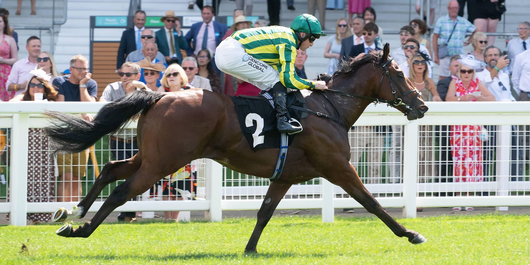 TPP - horse racing - Flann Sunna - horse