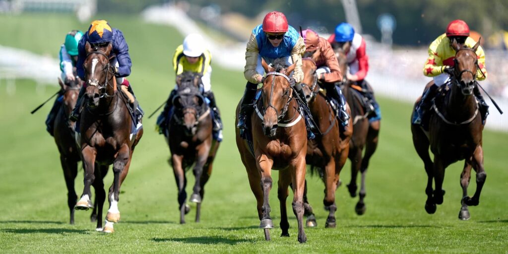 TPP horse racing Wild Blossom horse Goodwood