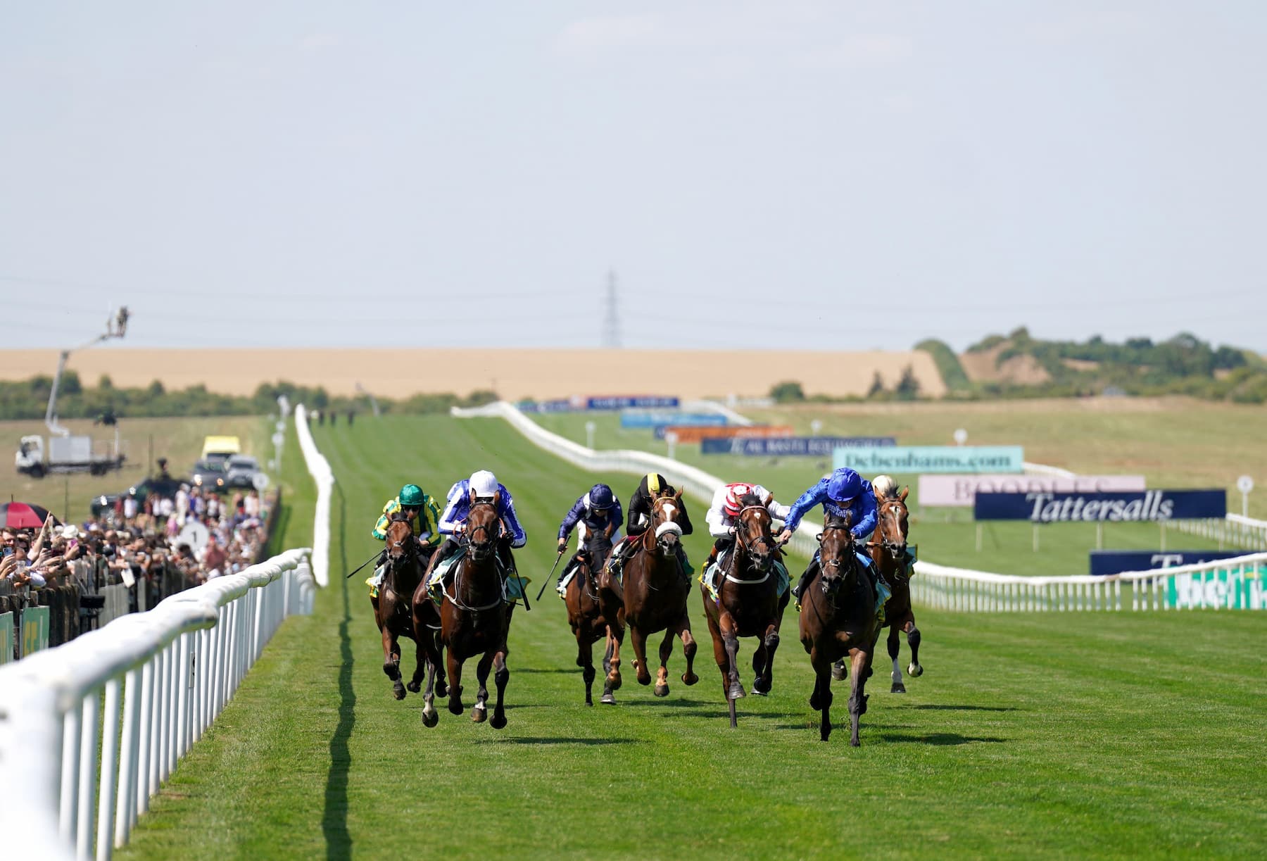 Horses racing on the July Course at Newmarket