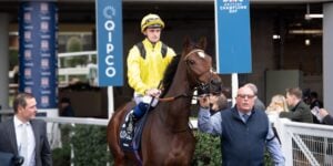TPP - horse racing - Waardah - horse