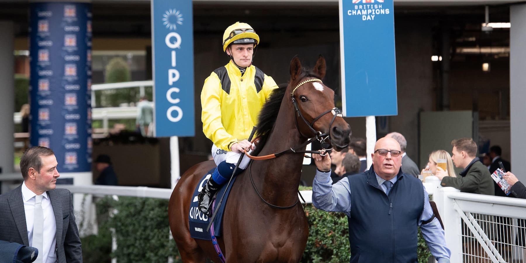 TPP - horse racing - Waardah - horse