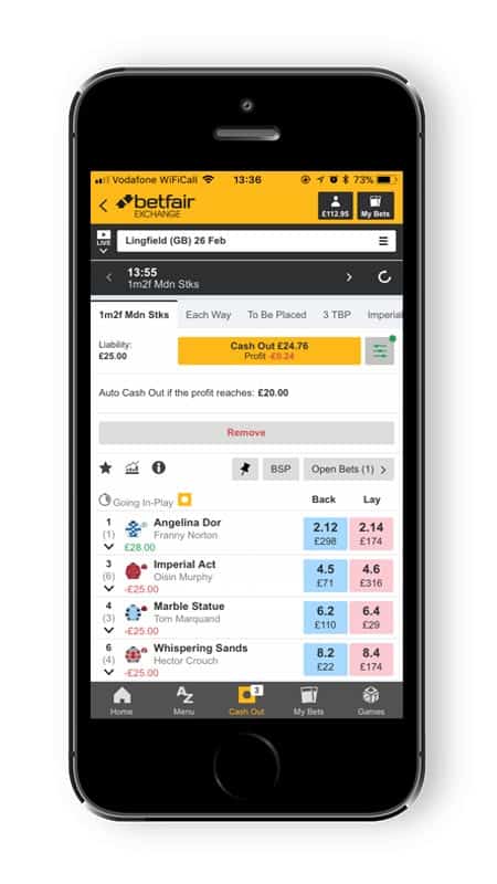 20 Places To Get Deals On Cricket Betting Apps In India