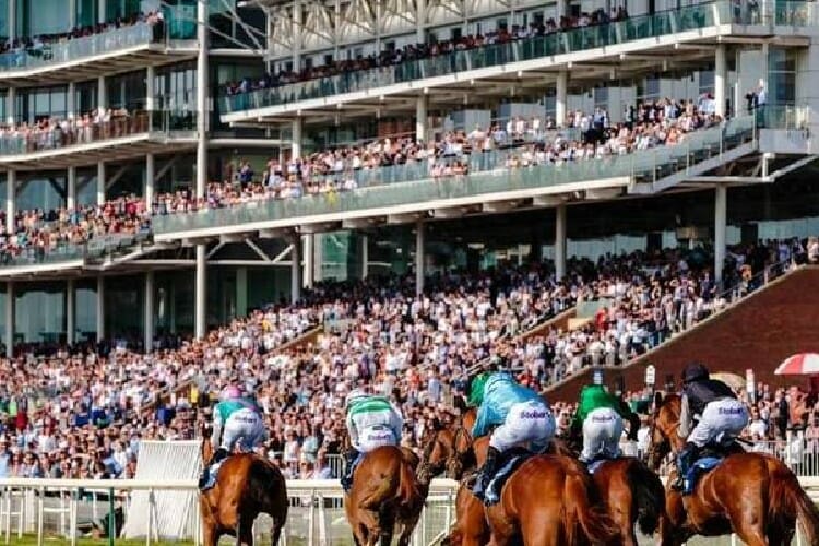 best betting exchange sites