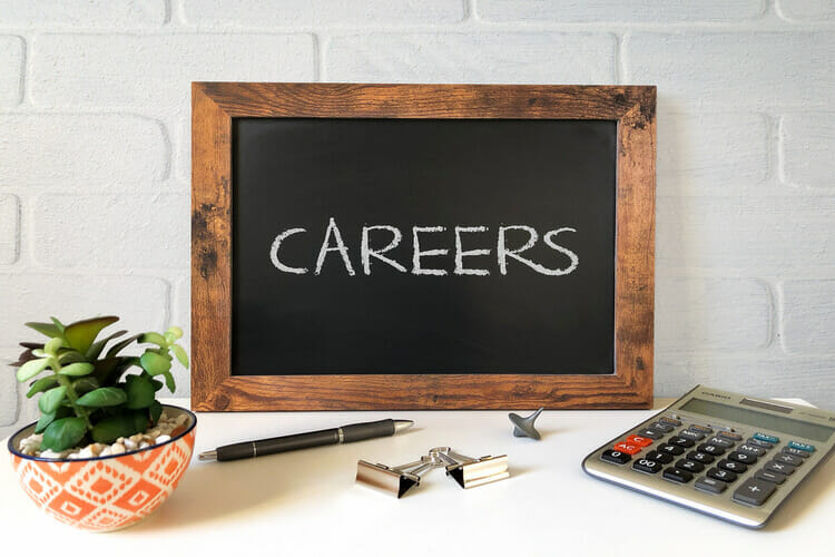 thepunterspage careers