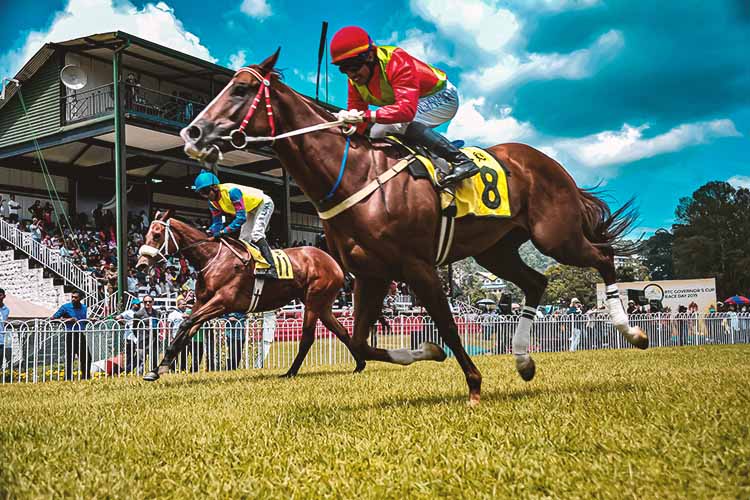 Horse Racing Featured Image