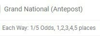 Paddy Power Each Way Bet Screenshot